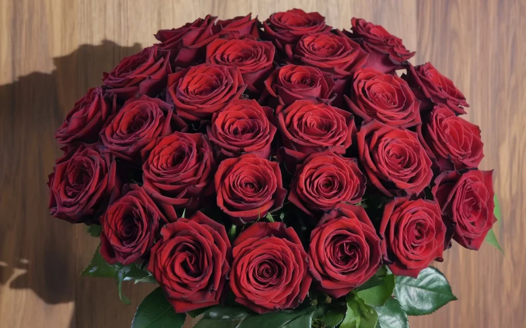 best-roses-are-red