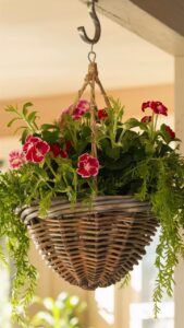 13 Charming Hanging Basket Ideas
